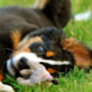 Meet your Posher, Juliana